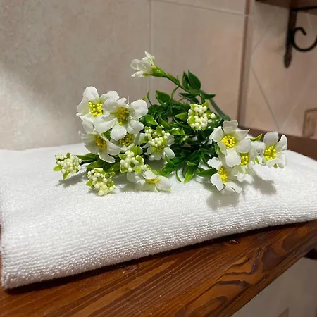 Holiday home Blef House Fiumicino