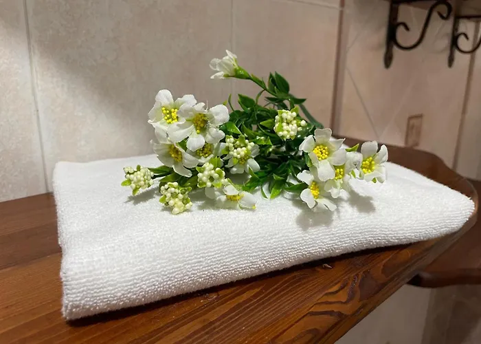 Holiday home Blef House Fiumicino